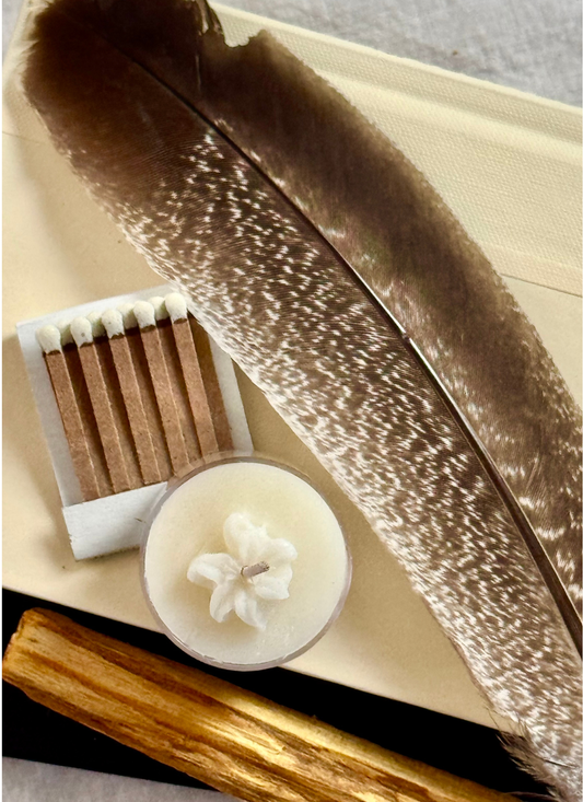 Room Cleansing Kit