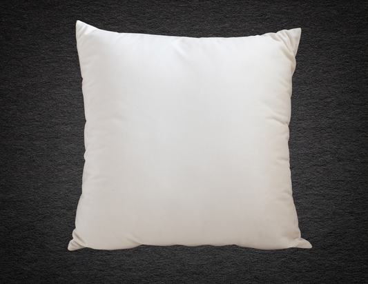 Custom 16" Throw Pillow